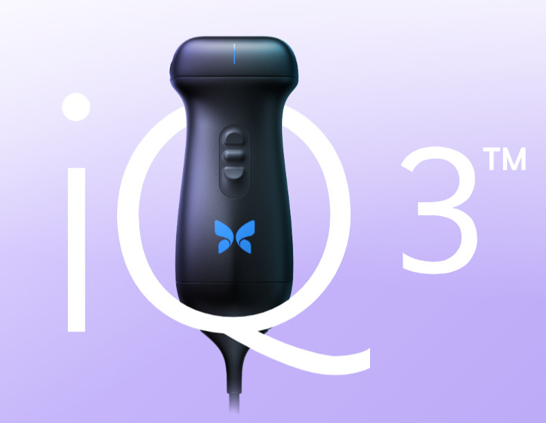 IQ3 BUTTERFLY NETWORKS 1 IQ3 BUTTERFLY NETWORKS